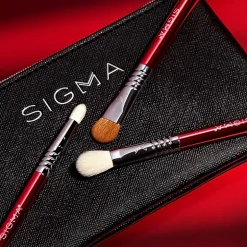 Sigma Beauty Glam N Go Mini Eye Brush Set, JCPenney Exclusive