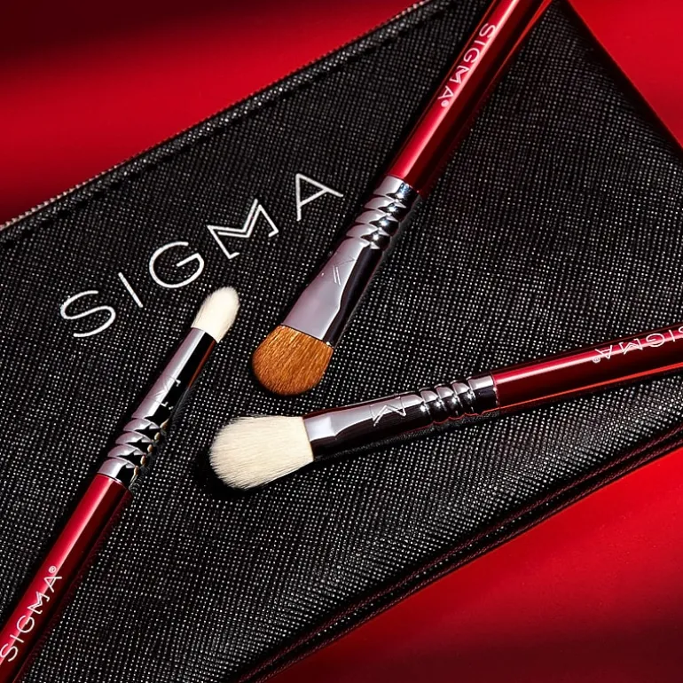 Sigma Beauty Glam N Go Mini Eye Brush Set, JCPenney Exclusive