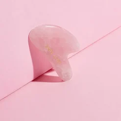 Skin Gym Facial Roller And Gua Sha Workout Set