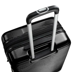 Skyway Chesapeake 4.0 28 Inch Hardside Expandable Checked Spinner Luggage