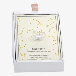Sparkle Allure Zodiac Womens Cubic Zirconia Pure Silver Over Brass Band