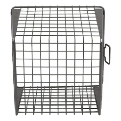 Spectrum Diversified Macklin Large Basket
