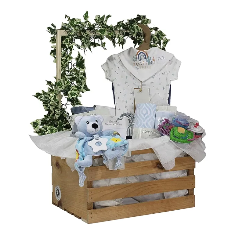 3 Stories Trading Company Baby Shower Gift Set Wardrobe Crate Boys 29-pc.