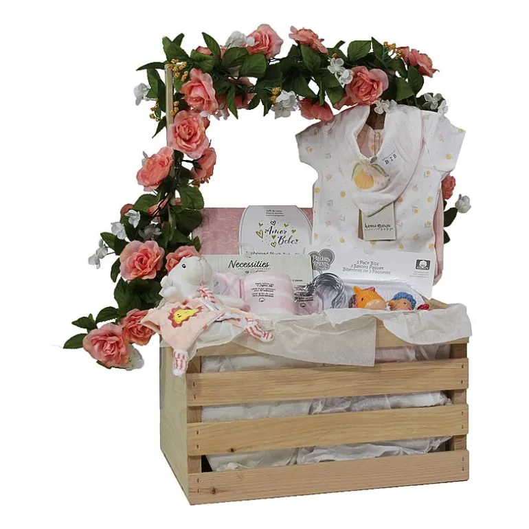 3 Stories Trading Company Baby Shower Gift Set Wardrobe Crate Girls 29-pc.