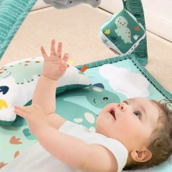 The Peanutshell Dino Baby Activity Center