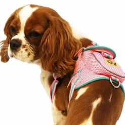 The Pet Life Mesh Pet Harness With Pouch