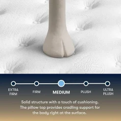 The Serta Perfect Sleeper Mondale 14
