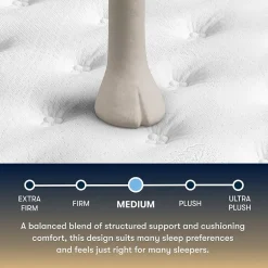 The Serta Perfect Sleeper Mondale 13