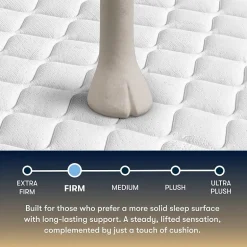The Serta Perfect Sleeper Mondale 13