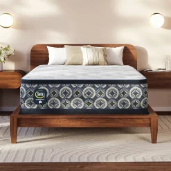 The Serta Perfect Sleeper Mondale 14