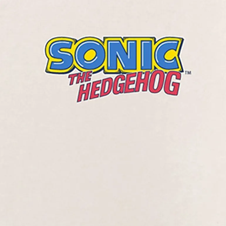 Toddler Boys Round Neck Short Sleeve Regular Fit Sonic the Hedgehog Graphic T-Shirt