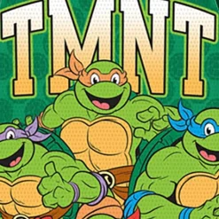 Toddler Boys Teenage Mutant Ninja Turtles 3-pc. Short Set