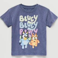 Toddler Unisex Crew Neck Short Sleeve Regular Fit Bluey Graphic T-Shirt