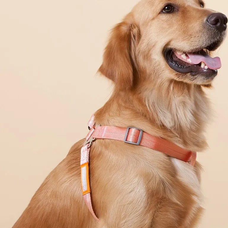 Touchdog Macaron' 2-In-1 Durable Nylon Leash Dog Harness