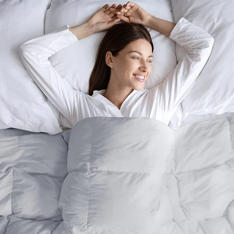 True North By Sleep Philosophy Goose Feather And Down Oversize Comforter