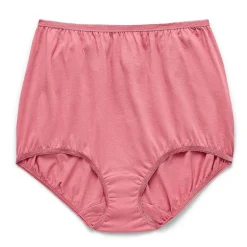 Underscore Womens Cotton Brief Panty