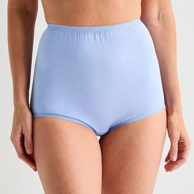 Underscore Womens Cotton Brief Panty