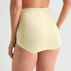 Underscore Womens Cotton Brief Panty