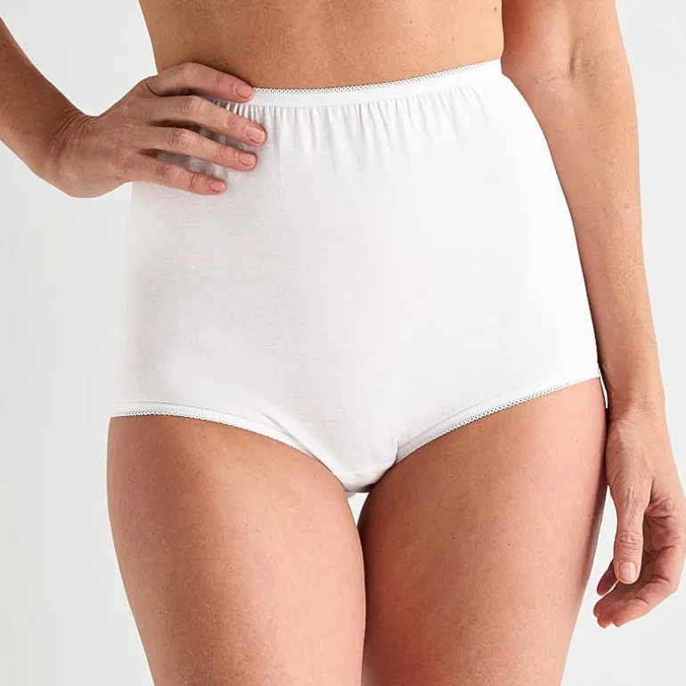 Underscore Womens Cotton Brief Panty