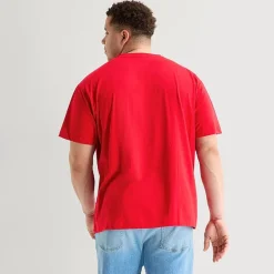 U.S. Polo Assn. Mens V Neck Short Sleeve Stretch Fabric Big and Tall T-Shirt