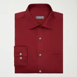 Van Heusen Big and Tall Ultra Flex Mens Regular Fit Wrinkle Free Long Sleeve Dress Shirt