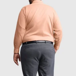 Van Heusen Ultra Flex Big and Tall Mens Regular Fit Stretch Fabric Wrinkle Free Long Sleeve Dress Shirt
