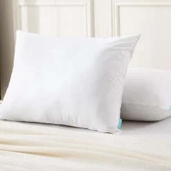 Waverly Feather And Down Blend Pillow Set Of 2