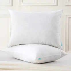 Waverly Feather And Down Blend Pillow Set Of 2