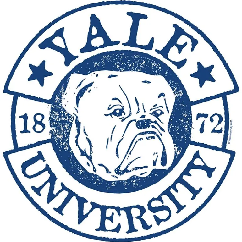 Yale University Tee Womens Juniors Crew Neck Short Sleeve Classic Fit Graphic T-Shirt
